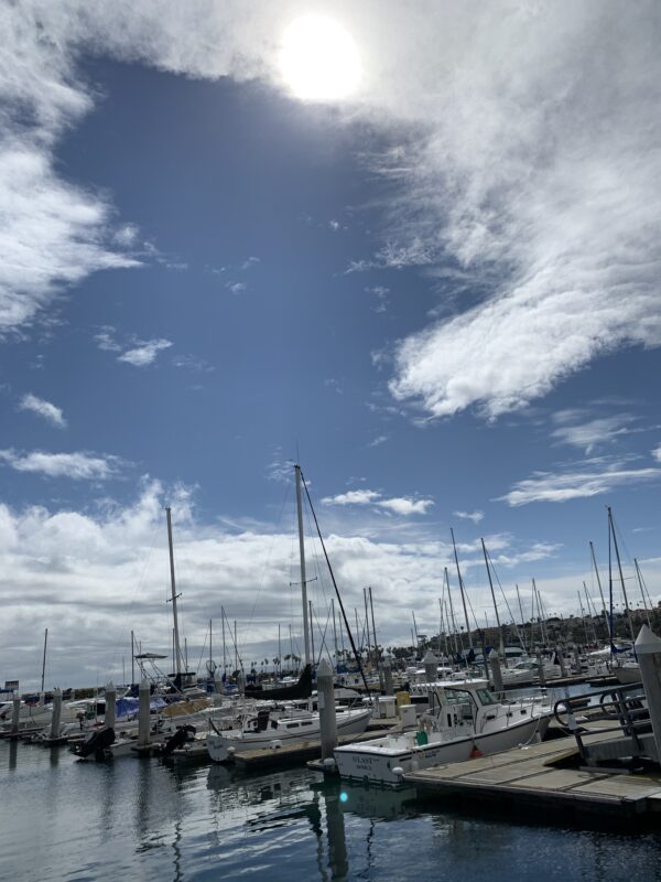 The lot of boats parked in dock area at San Pedro, CA