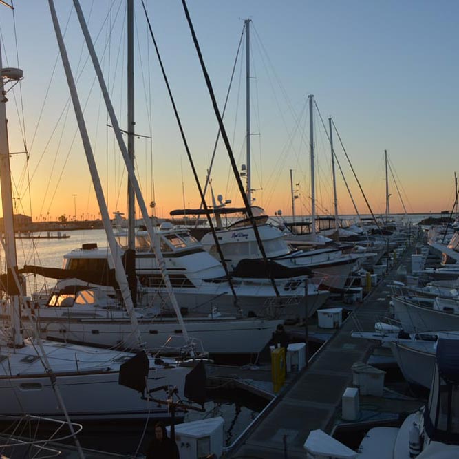 boats in the marina at sunset